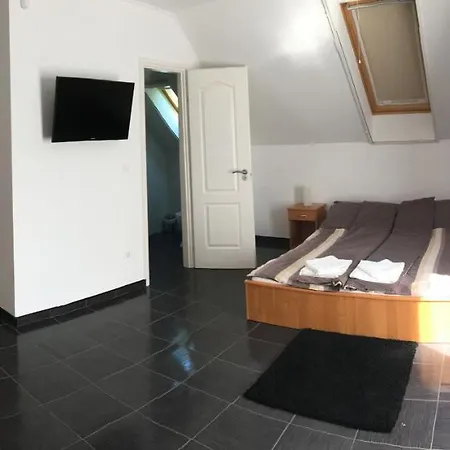 Gasthuis Bor-vendeghaz 4*